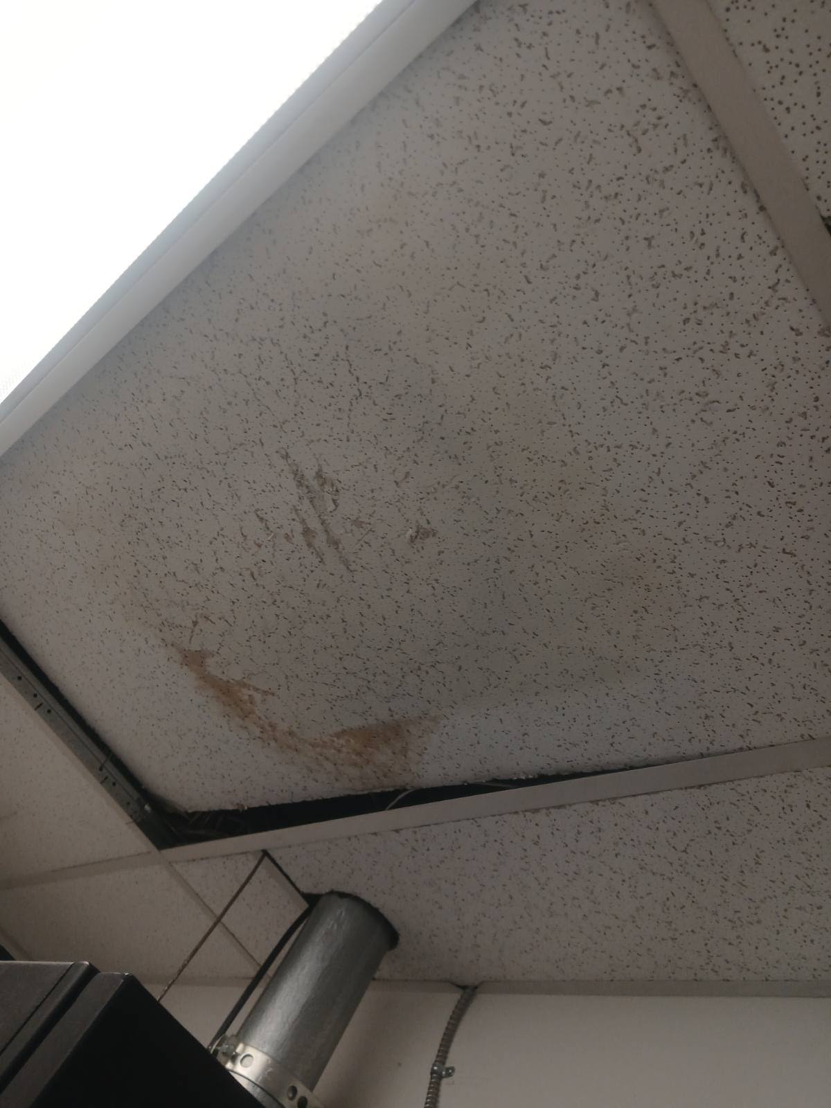 Water-stained tile in a suspended commercial ceiling