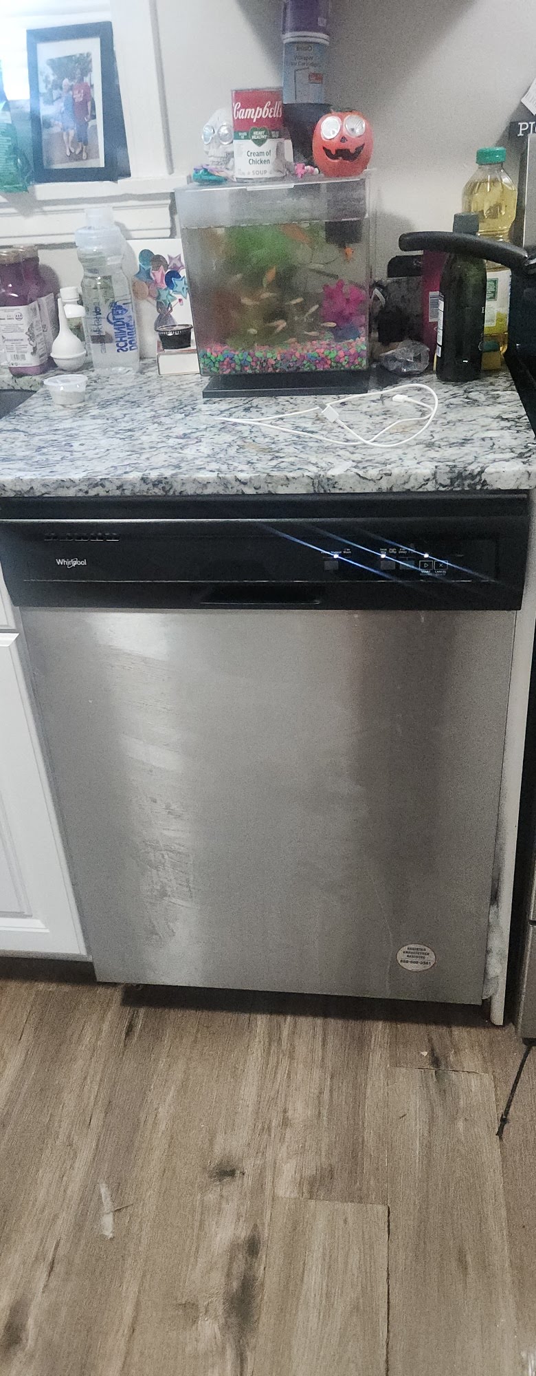 Dishwasher installed beneath a kitchen counter